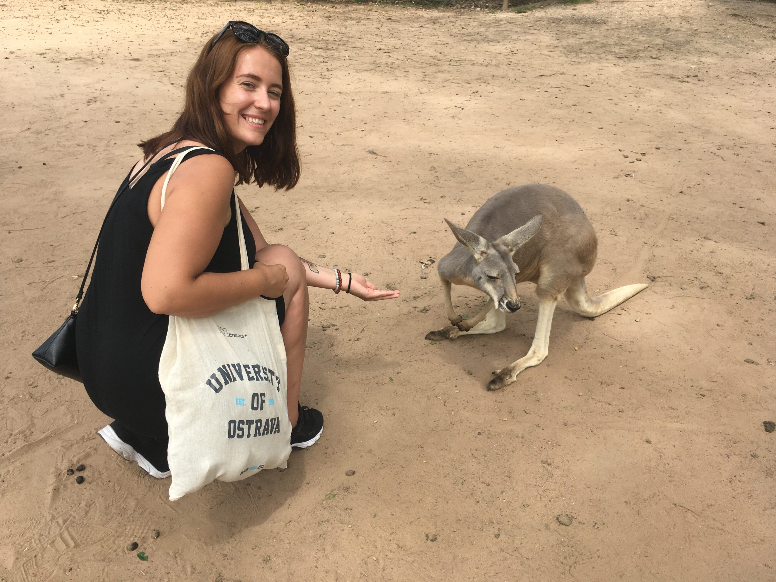 VIA PhD otevírá doktorandům cestu do zahraničí