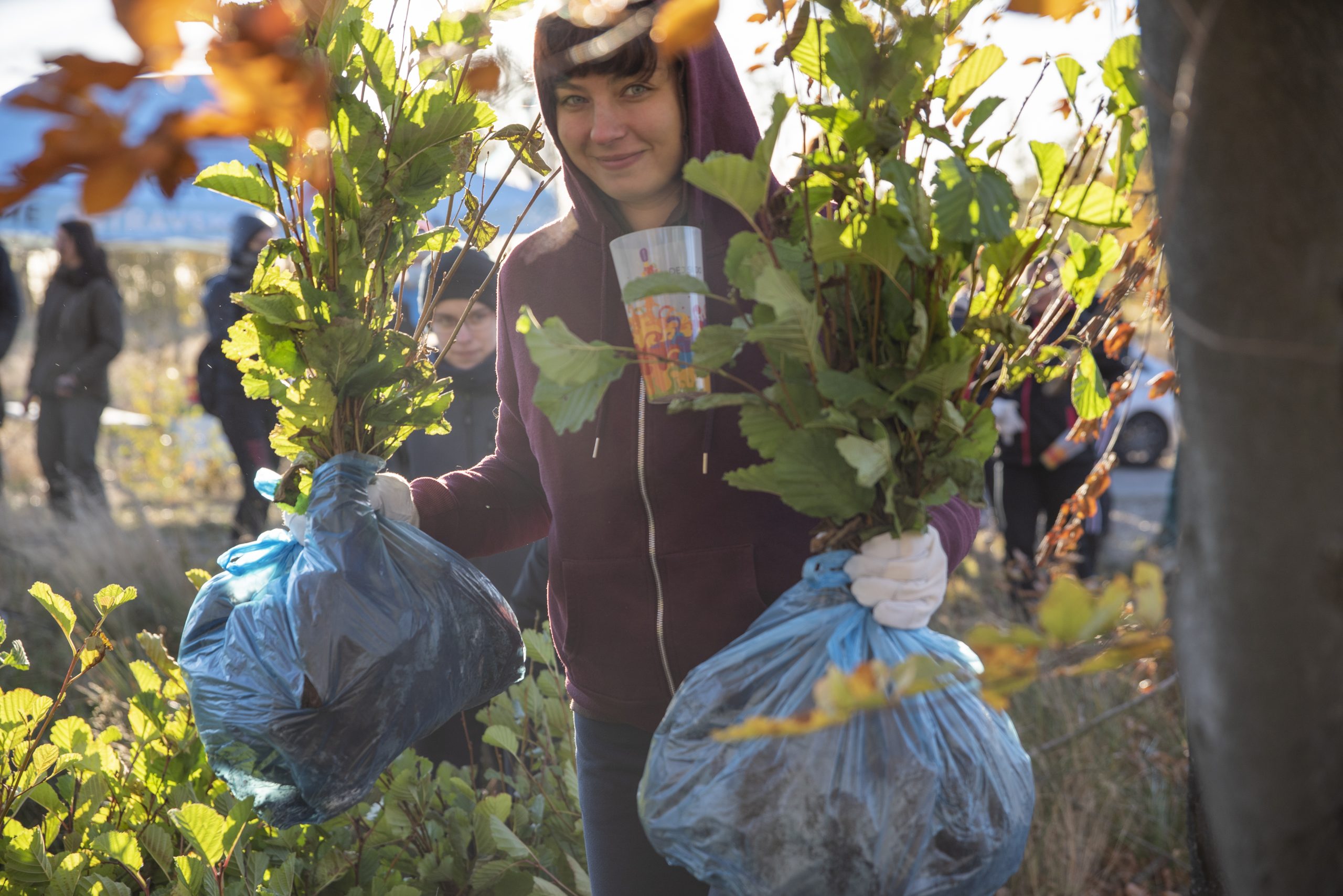 Ostravská zasadí další stromy za podané přihlášky. Přihlaste se a&nbsp;sázejte s&nbsp;námi