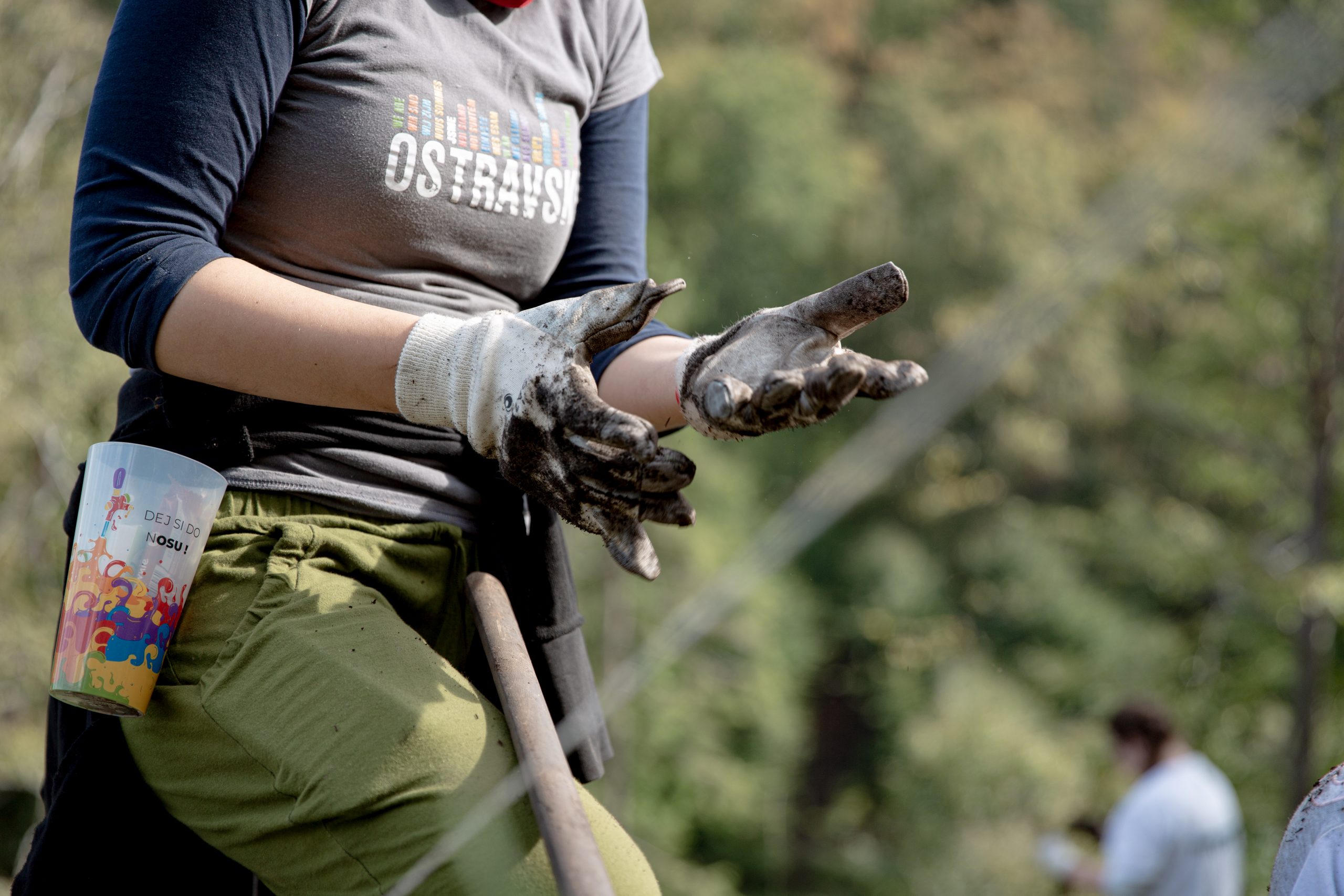 Ostravská univerzita vysadí o&nbsp;víkendu 5&nbsp;500 nových stromů