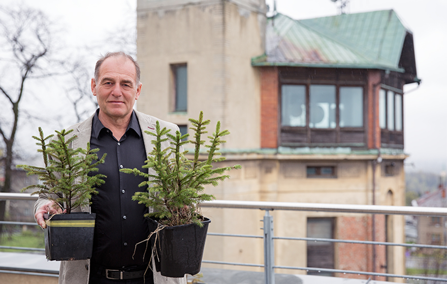 Stromečky, koledy, řízky. Symboly Vánoc očima vědců Ostravské univerzity