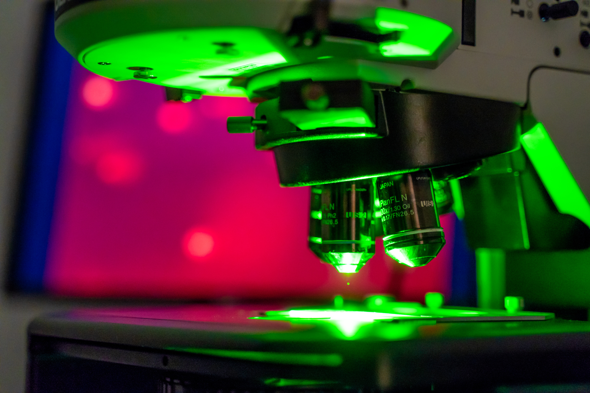 Publikační úspěchy našich biologů s&nbsp;žákem nositele Nobelovy ceny