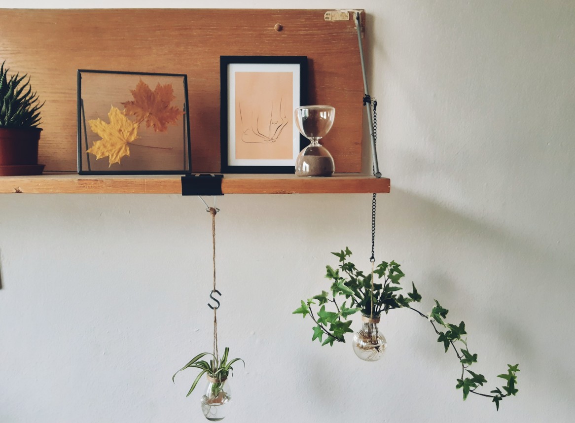 Studentské bydlení: |3.| Spánek, rostliny a&nbsp;úložné prostory