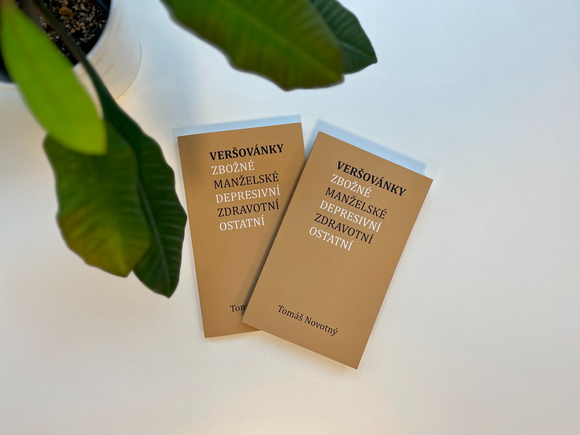 Po přečtení je jasné, že Tomáš Novotný je přítelem, na kterém vám bude určitě záležet. Recenze sbírky básní Veršovánky