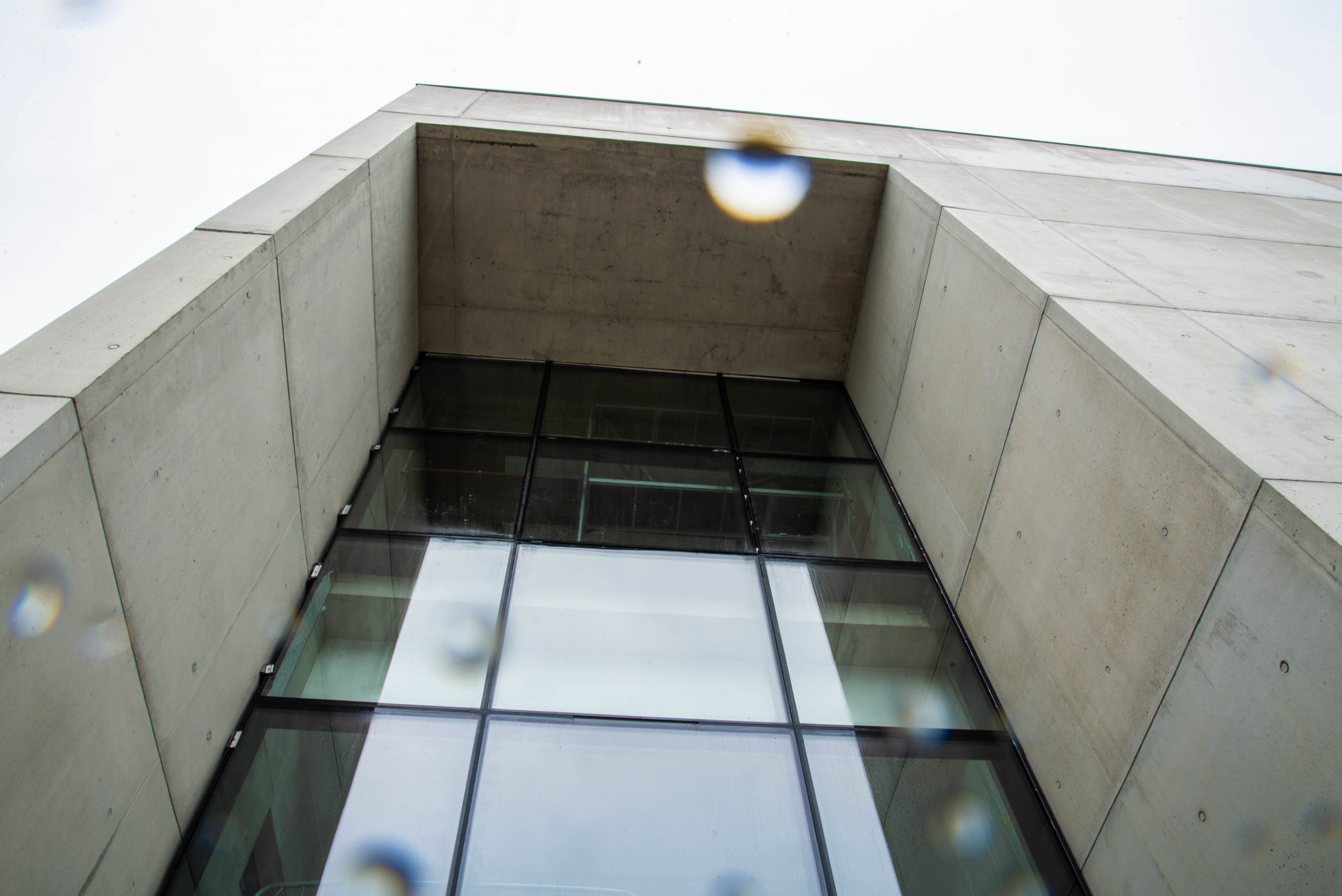 City Campus: Odpočítáváme! |6.| Proč white cube galerie?