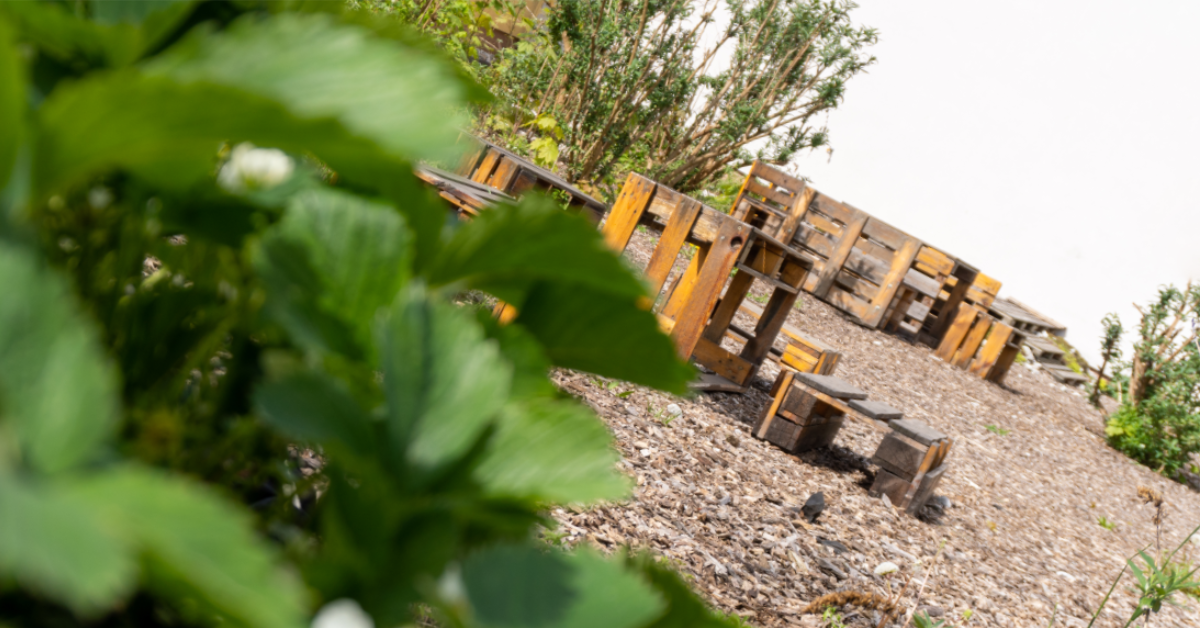 Zveme na další brunch Přírodovědecké fakulty