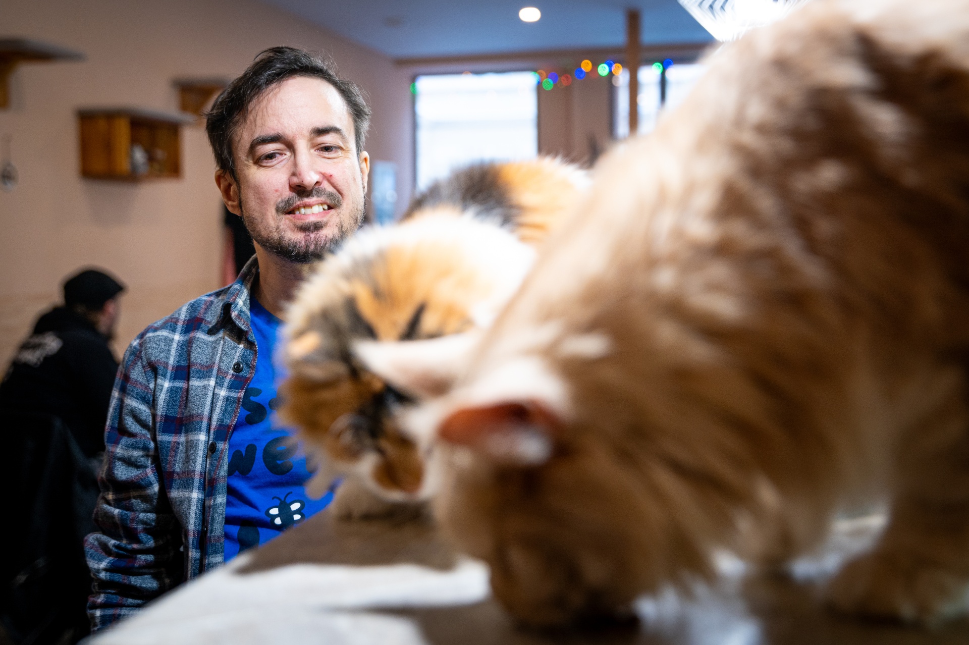 Z pekelného posla v&nbsp;předoucího terapeuta. Kočky s&nbsp;námi žijí tisíce let