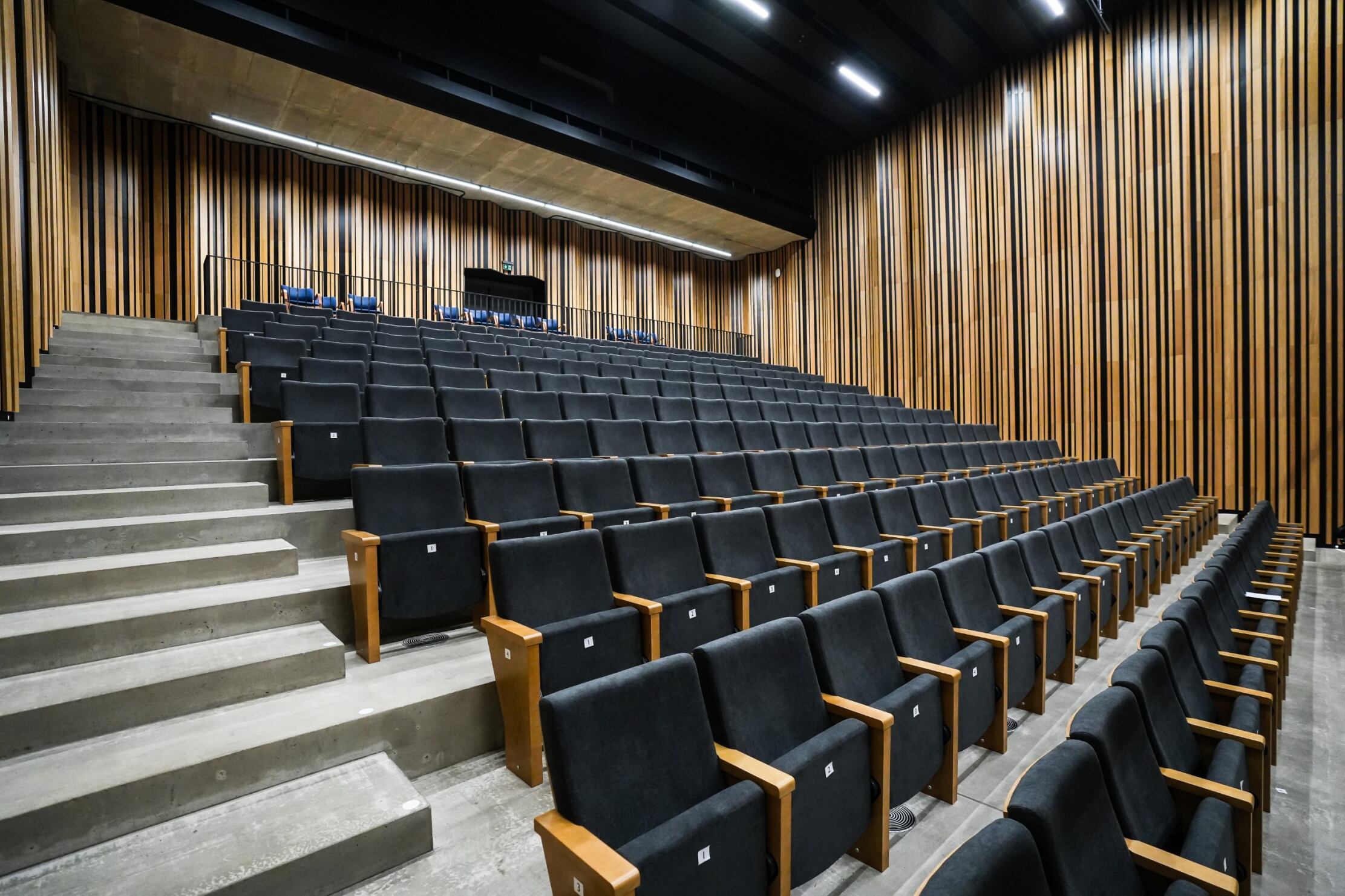 Rok 2024 odstartují v&nbsp;City Campusu koncerty, festival i&nbsp;pohádka