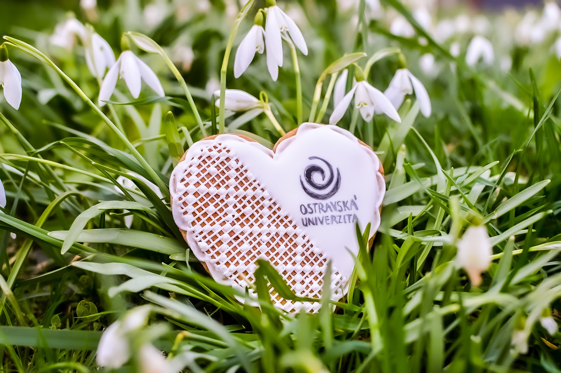 Když se manželé šlehali metlami a&nbsp;ulicemi projížděli důlní koně. Jak vypadaly Velikonoce napříč historií?