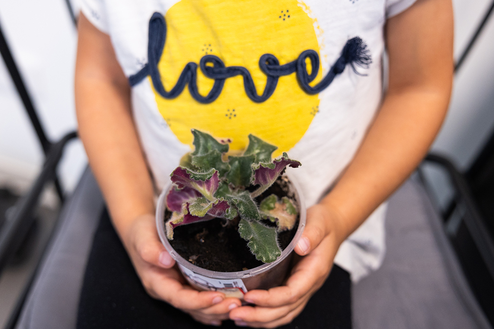 Na klimatu a&nbsp;udržitelnosti nám záleží. Ostravská univerzita se zapojila do Evropského týdne udržitelného rozvoje