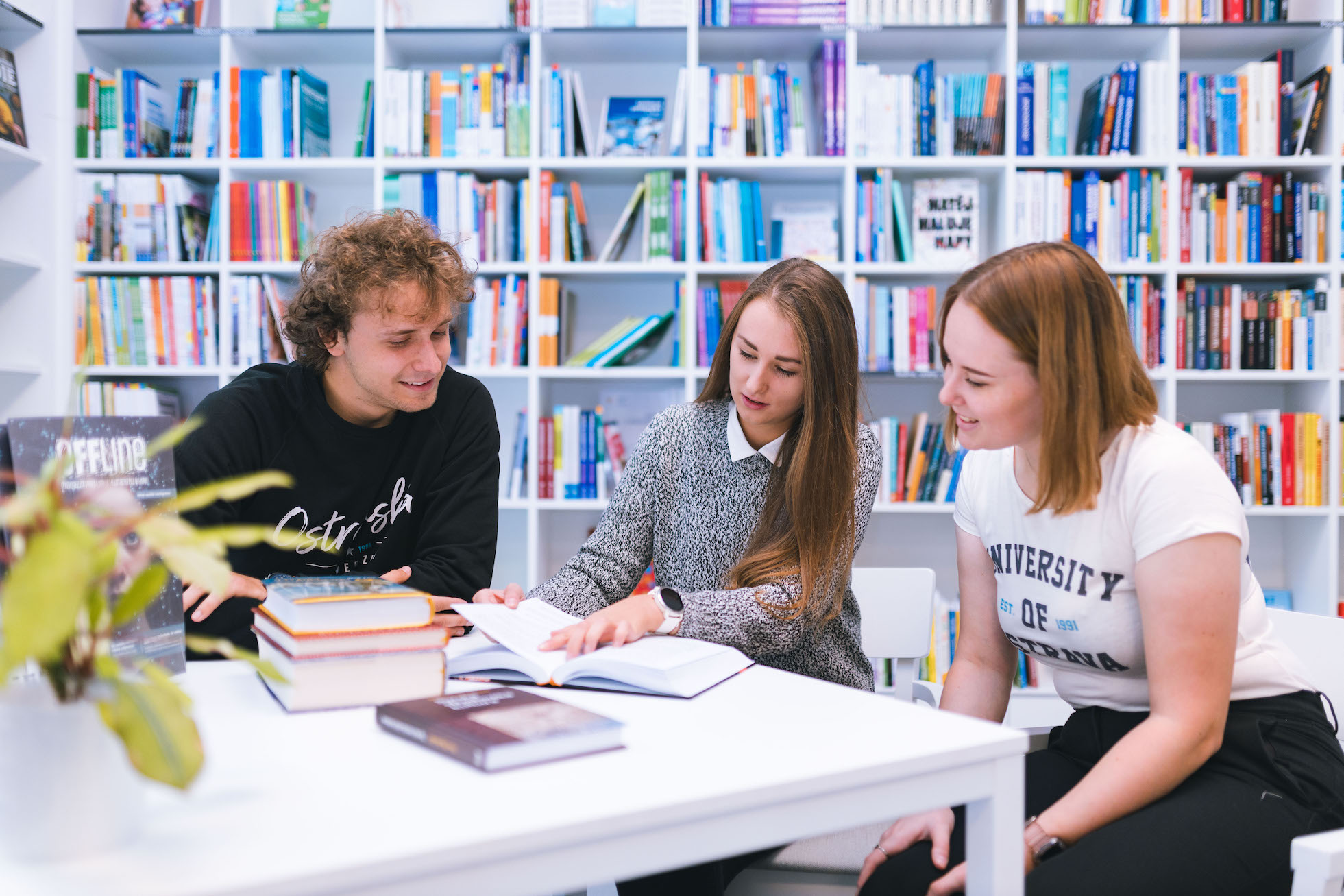 Přenositelné pracovní kompetence: Mezinárodní studijní modul zacílený na praktické dovednosti. Hlásit se můžete do 7. října