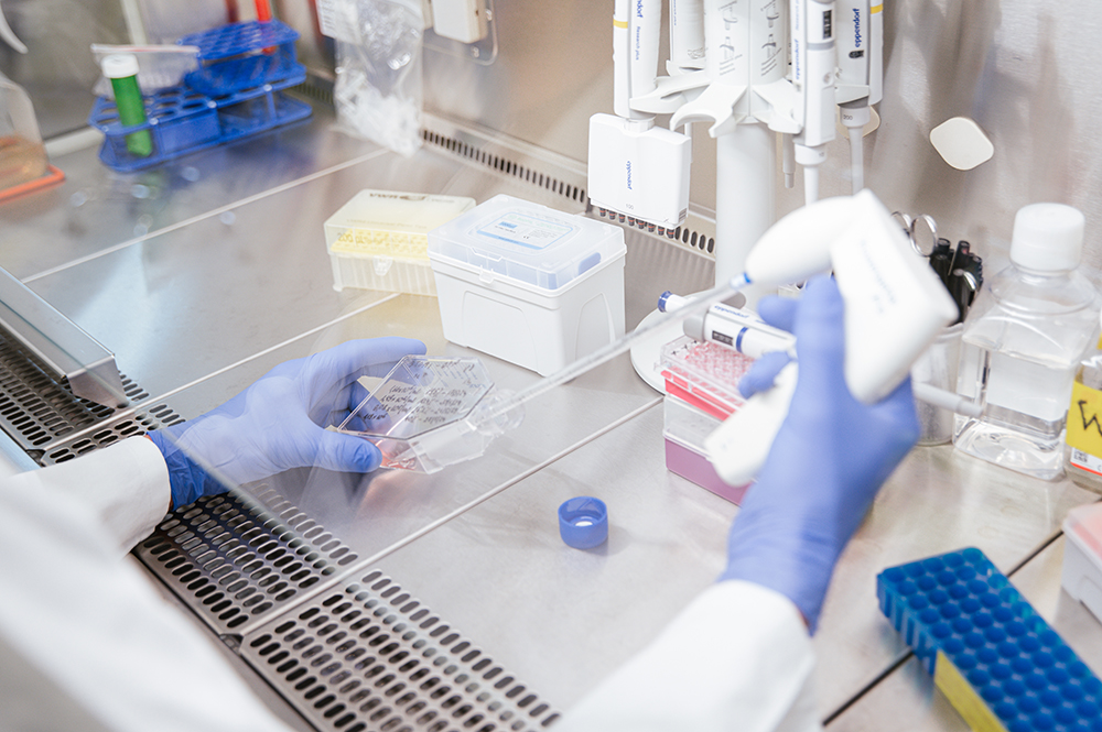 Zviditelněte svůj výzkum díky NEOLAiA Open Research Hub a&nbsp;najděte nové zahraniční spolupracovníky