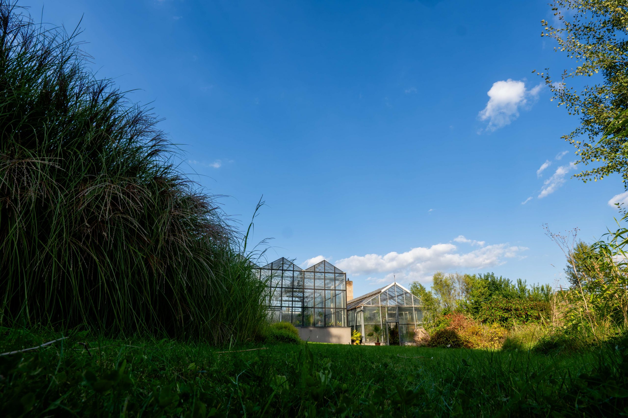 Biologové hledají posily pro výzkum v&nbsp;Botanické zahradě