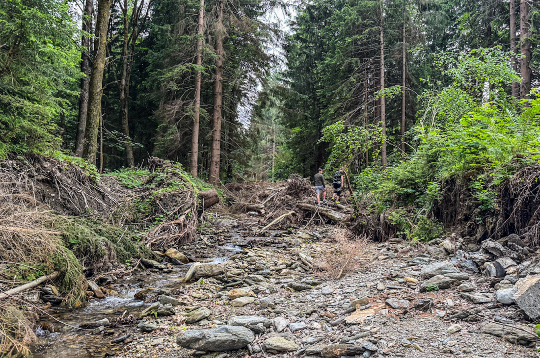 Česká krajina: co jsme ztratili a&nbsp;co zachráníme?