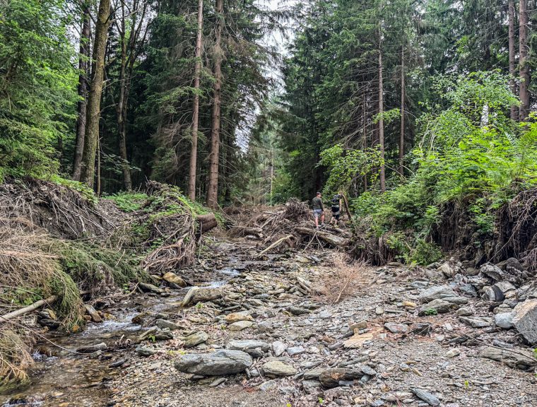 Česká krajina: co jsme ztratili a&nbsp;co zachráníme?