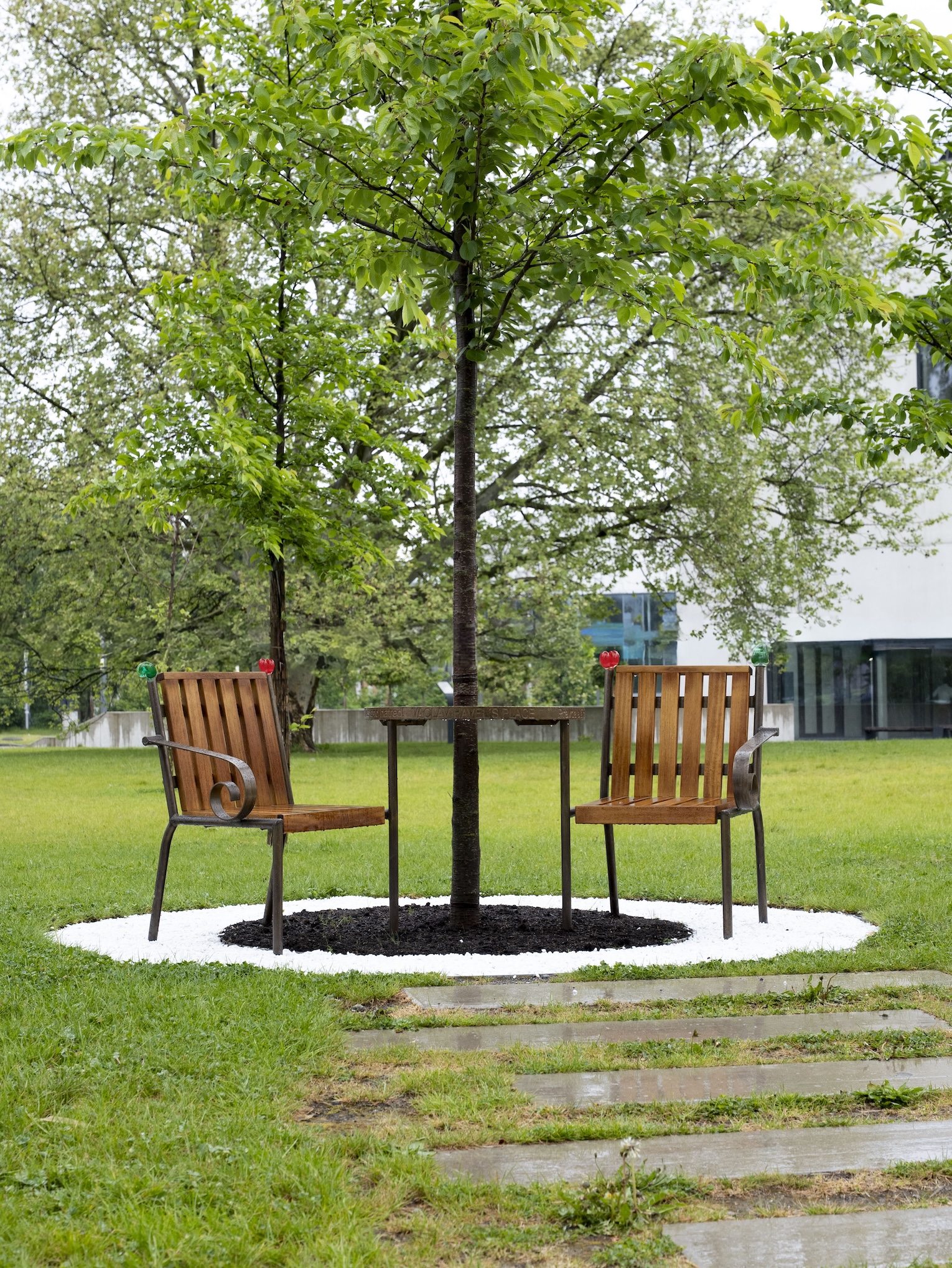 Havlův burgundský guláš provoní City Campus